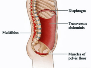 Ejercicio Terapéutico CORE 1 core